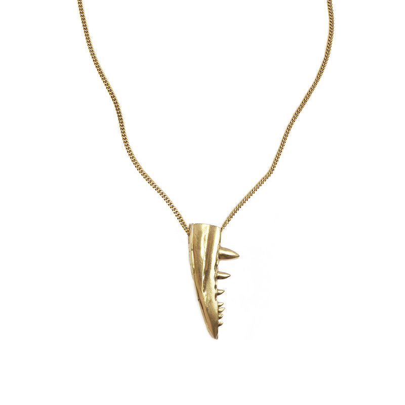 Fossil Lemon Shark Tooth Necklace (#47572) For Sale - FossilEra.com