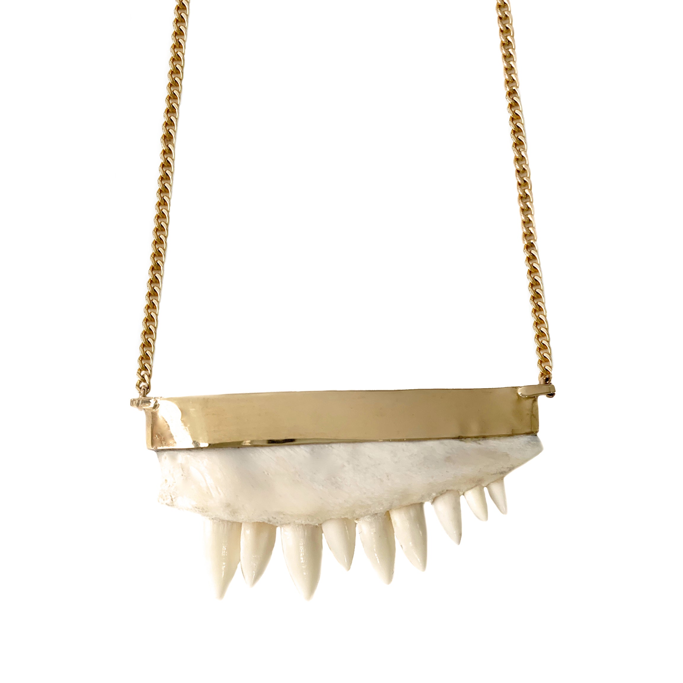 h’eres CETACEA BONE NECKLACE CETACEA BONE NECKLACE – h'eres